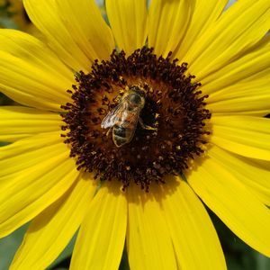 Meet your Posher, Stacey